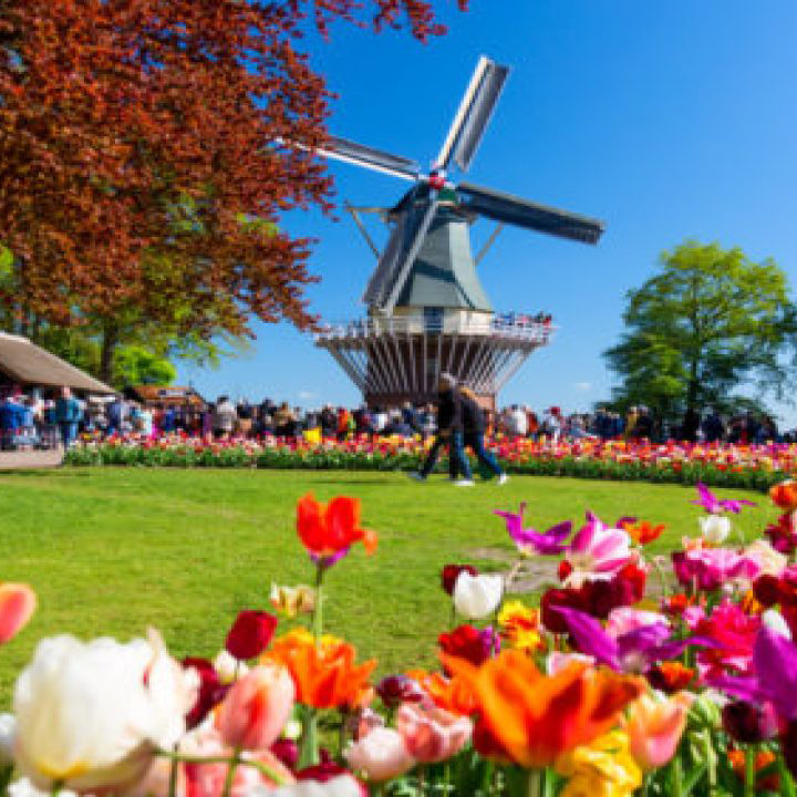 START or CONTINUE your Medical Career in THE NETHERLANDS or BELGIUM 